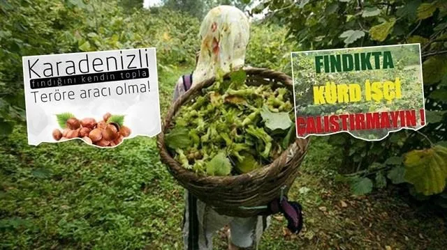 FETÖ-PKK'dan Karadeniz’de tehlikeli oyun - 1
