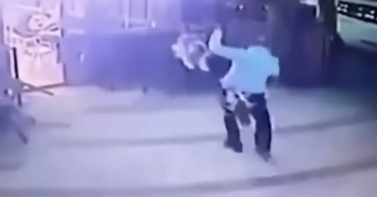 Yer Bağcılar… Kucağında köpeği ile kedi saldırısına uğradı! Ensesine