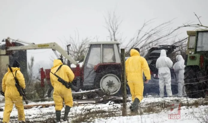 35 yılın ardından ilk kez görüldü! Yayılırsa "felaket" olacak | 2 ülke harekete geçti yasak geldi 1