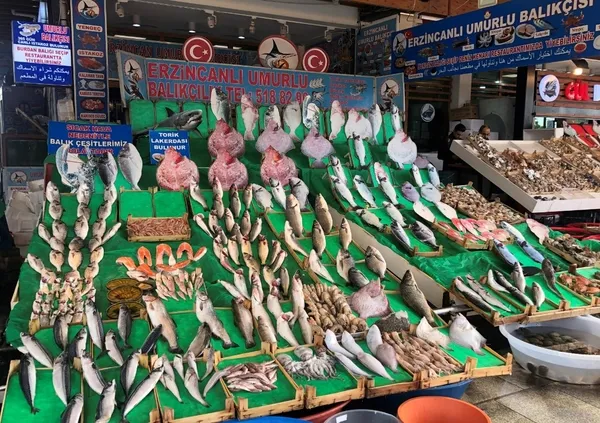 Balıkseverlere sevindiren haber! Hamsinin fiyatı düşüyor