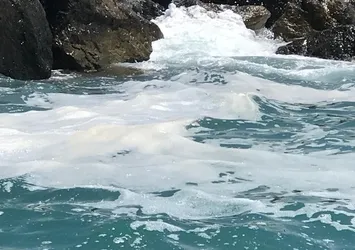 Hatay'da ortaya çıktı! Endişelendiren beyaz tabaka