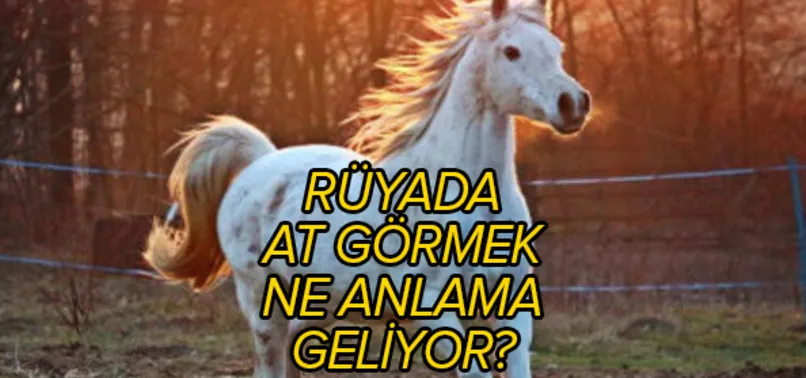 Rüyada at görmek rüya tabiri! Rüyada at görmenin anlamı ne?
