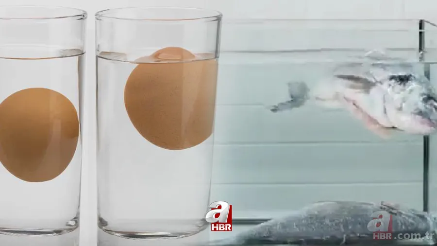 10 saniyede sonucu görün! Gerçek mi sahte mi hemen belli oluyor 1