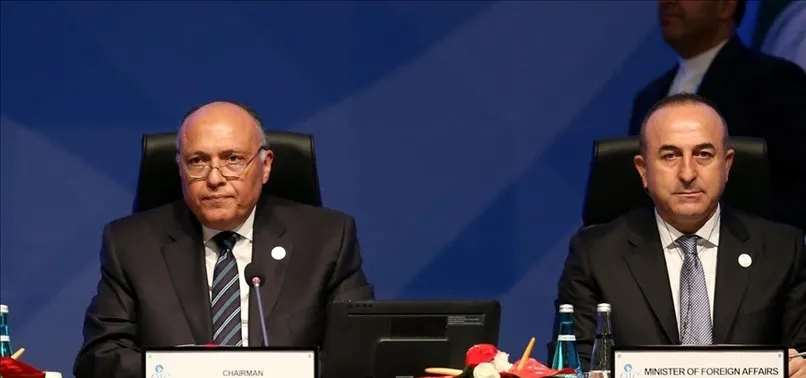 Son dakika: Dışişleri Bakanı Mevlüt Çavuşoğlu Mısırlı mevkidaşı Samih Şukri ile görüştü