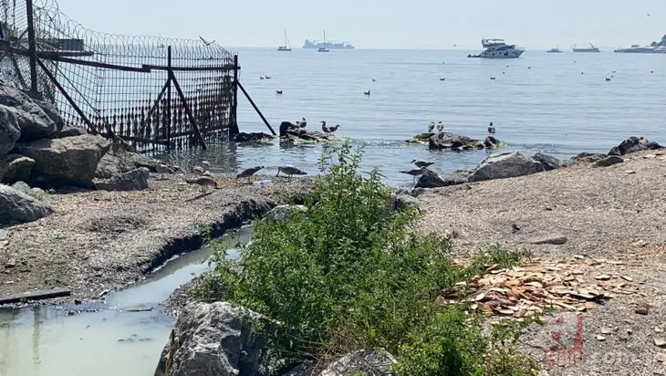 Kadıköylüleri endişe eden görüntü! Dereden akan beyaz su Marmara Denizi’ne karışıyor