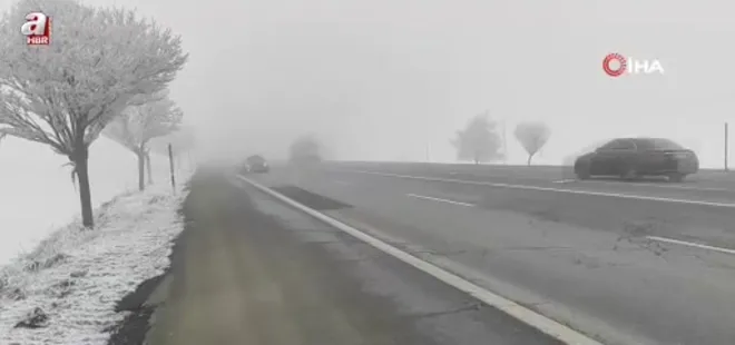 Bitlis’te yoğun sis etkili oldu