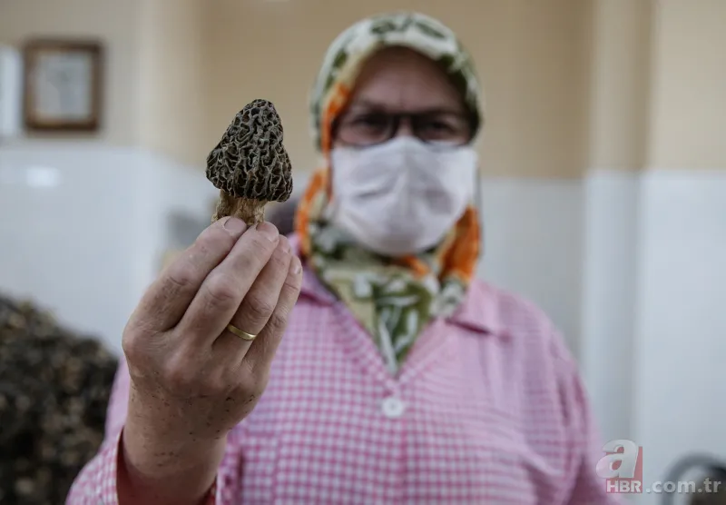 Türkiye'de yetiştirilip Avrupa'ya gönderiliyor! Kilosu 250 avroya satılıyor... 8