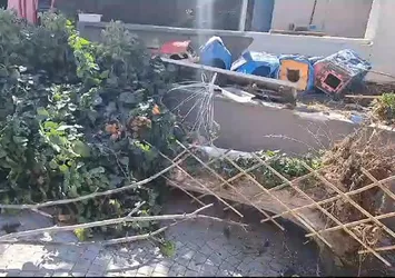 Kadıköy'de korkutan olay! Ağaç otomobilin üstüne devrildi
