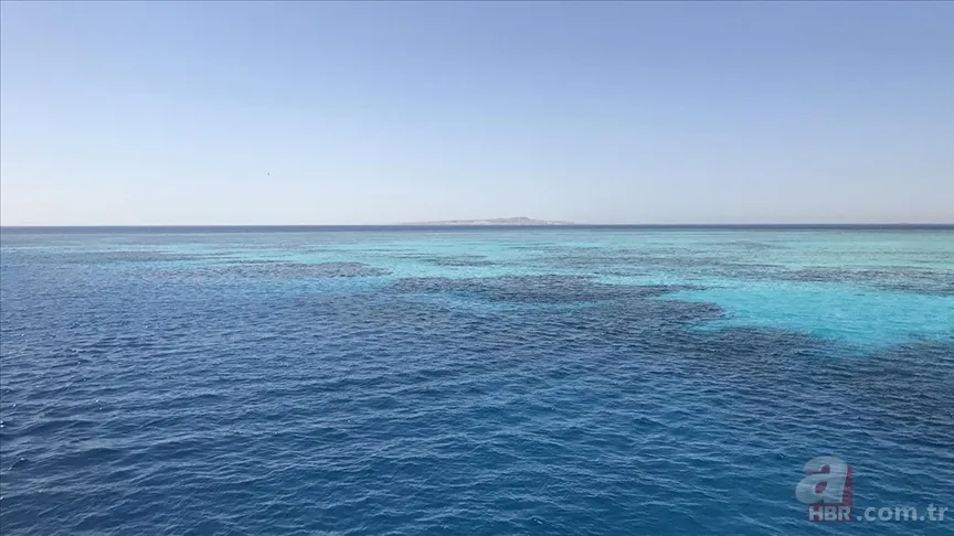 85 yıldır denizin dibinde bekliyor! Savaşın sessiz tanığı: SS Thistlegorm 5