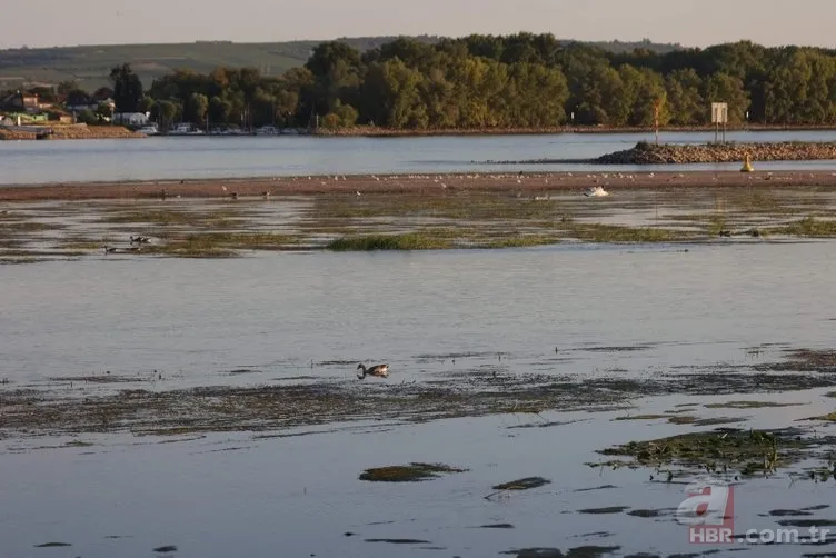 Avrupa'da 500 yılın kuraklığı! Dünya korkuyla izliyor 1