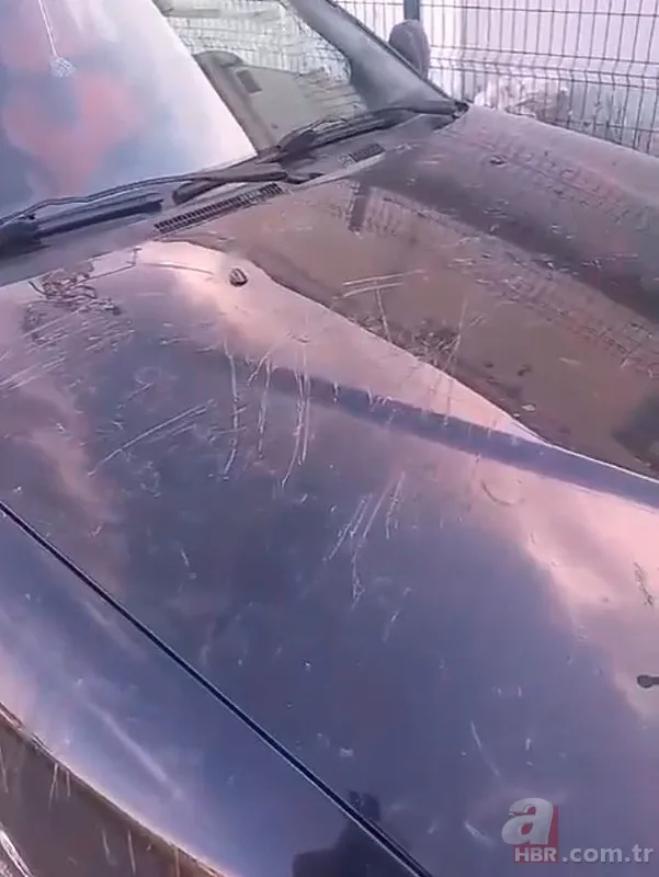 İstanbul’da şaşkına çeviren manzara! Keçiler arabanın kaputunda böyle tepindi 3