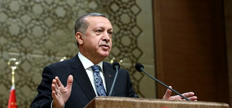 Başkan Recep Tayyip Erdoğan'dan Dipsiz Göl tepkisi! Talimatı verdi...