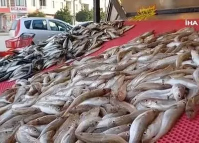 Karadeniz’deki bolluk tezgahlara yansıdı