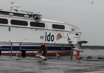 İDO ve BUDO'da bazı seferler iptal edildi