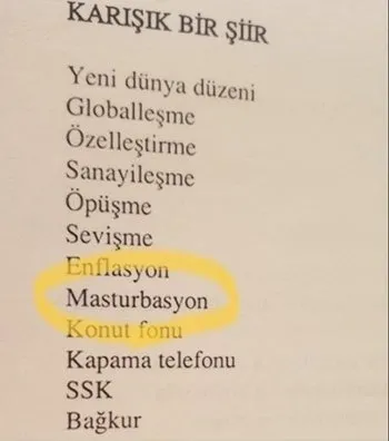 Muharrem İnce erotik şiir kitabı için bakın ne dedi! - 1