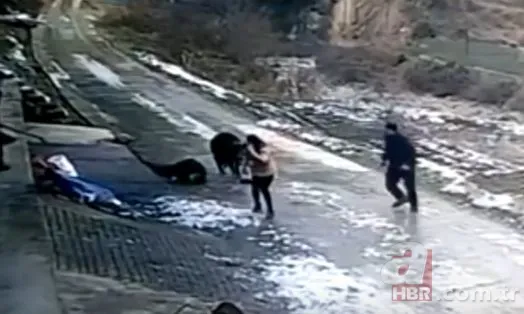 Bilecik’te 220 kiloluk dev domuz avcıya saldırdı! O anlar kamerada 12