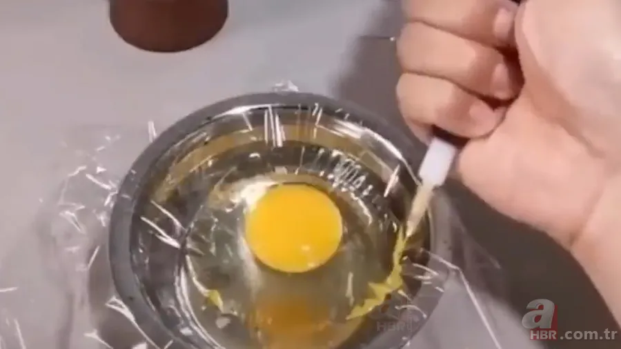 İşte civcivin yumurta içindeki gelişimi 🐣 İğne ile enjekte etti gün gün görüntüledi 🥚 17