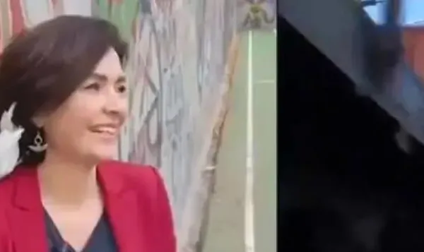 Provokatör gazeteci Özlem Gürses bu kez karikatürü haber gibi sundu