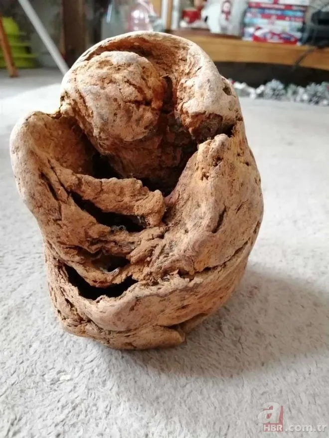 Yürüyüş yaptıkları sırada buldular! Fosil zannedip eve götürdükleri nesne bomba çıktı 2