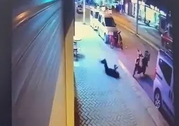 Türkiye’nin konuştuğu sır ölümde yeni detay! Bilimsel rapor sunuldu: Düşmüş olamaz