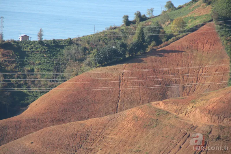 Tarladaki ürünleri tek tek söküyorlar! Uzman isim uyardı: Sıkıntı yaşarız 5