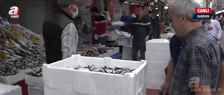 Hamsi tezgahlarda yerini aldı! Balık fiyatlarında son durum ne? Çinekop, istavrit, palamut, mezgit, barbun, hamsi... 8