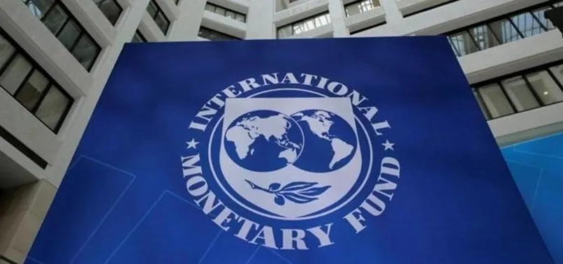 IMF'den flaş Türkiye açıklaması