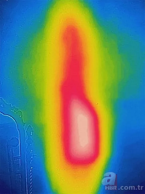 Evinin duvarından gelen garip sesler arttı! Termal kamerayla bakınca şoka girdi 5