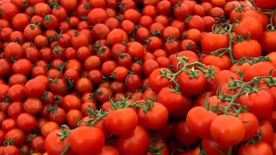 Aynı semtteki market ve pazar arasında dev fiyat farkı!
