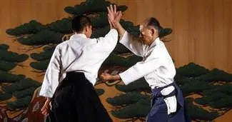 İşin sırrı Aikido