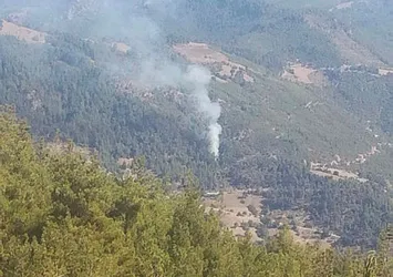 Adana'da korkutan orman yangını!