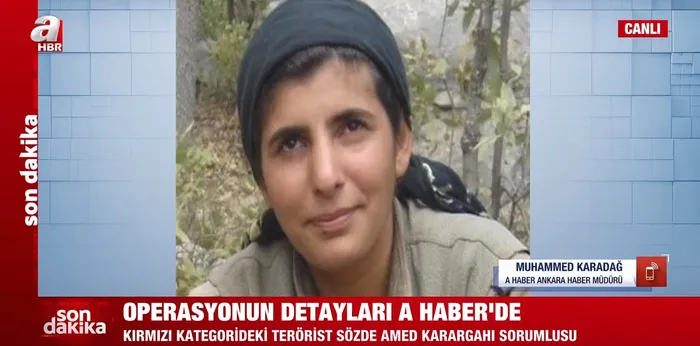 Diyarbakır Kulp'ta PKK'ya üst düzey darbe! Aranan 3 terörist etkisiz hale getirildi - 1