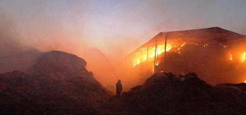 Ankara’daki çiftlik yangınında büyük hasar