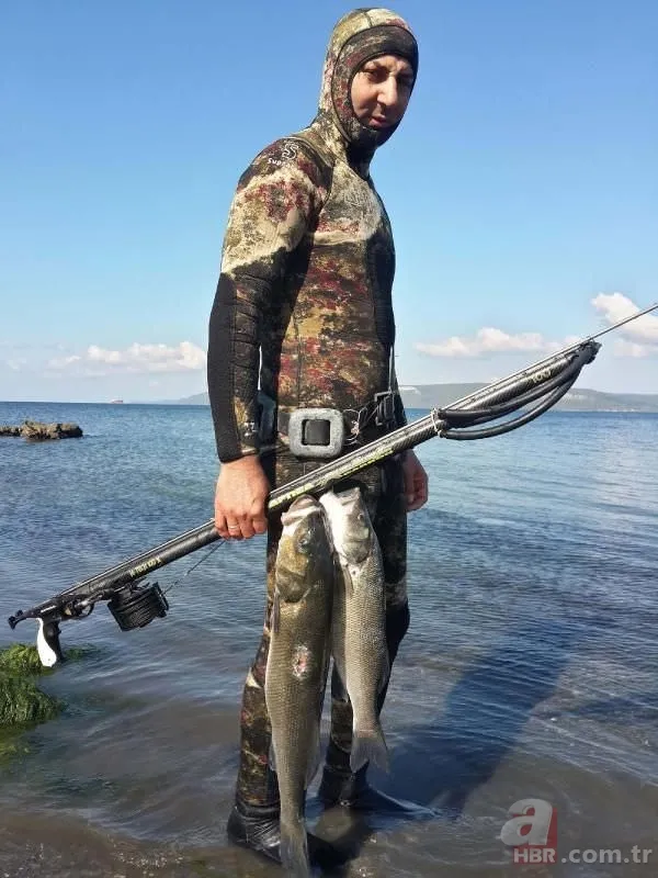 Tüpsüz dalışta, boyu büyüklüğünde balık avlıyor 7