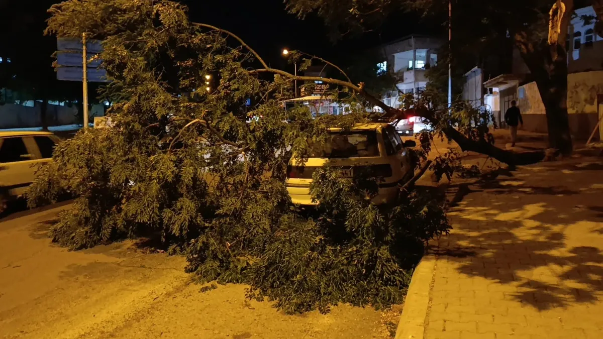 Kahramanmaraş’ta fırtına: Park halindeki otomobilin üzerine ağaç devrildi