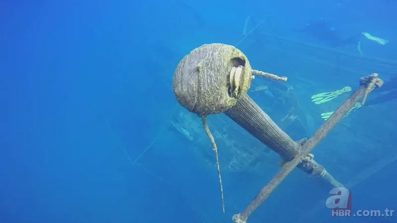 Van Gölü'nde yeni sırlar ortaya çıkıyor! 62 yıl sonra ilk kez görüntülendi 13