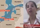 Kuzey Akımda kaza mı, sabotaj mı?