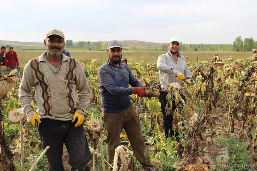 'Soğukta yapamazsın' dediler, şimdi paraya para demiyor 8