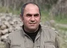 PKKlı Sevende 7li koalisyona talimat!