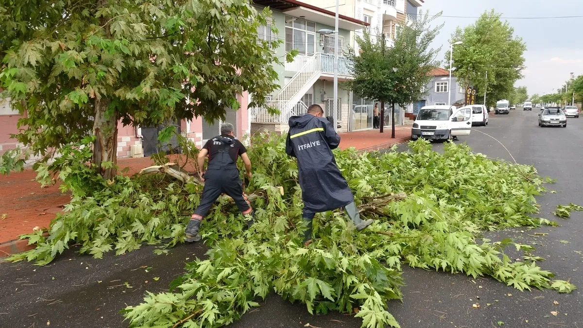 Malatya'da şiddetli fırtına! Camlar patladı ağaçlar devrildi