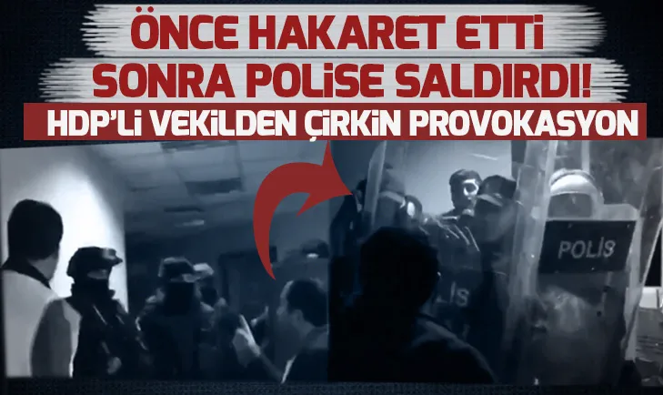 HDPli vekil polise saldırdı