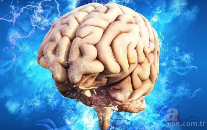 İbn-i Sina'nın 'şifa kaynağı' dediği baharat! Unutkanlığa savaş açıyor! Hafızayı güçlendirmek için aç karnına... 7