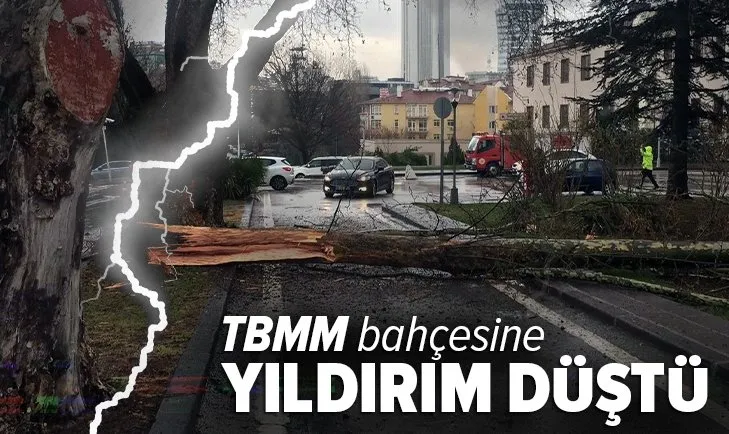 Son dakika: TBMM bahçesine yıldırım düştü!