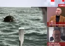 Mayın tehdidi sürüyor mu?