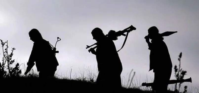 Avusturya'da PKK sembollerinin yasaklanması için kampanya