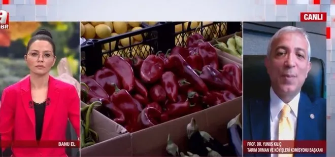 Yeni hal yasası ne getiriyor? Çalışmalarda son durum ne?