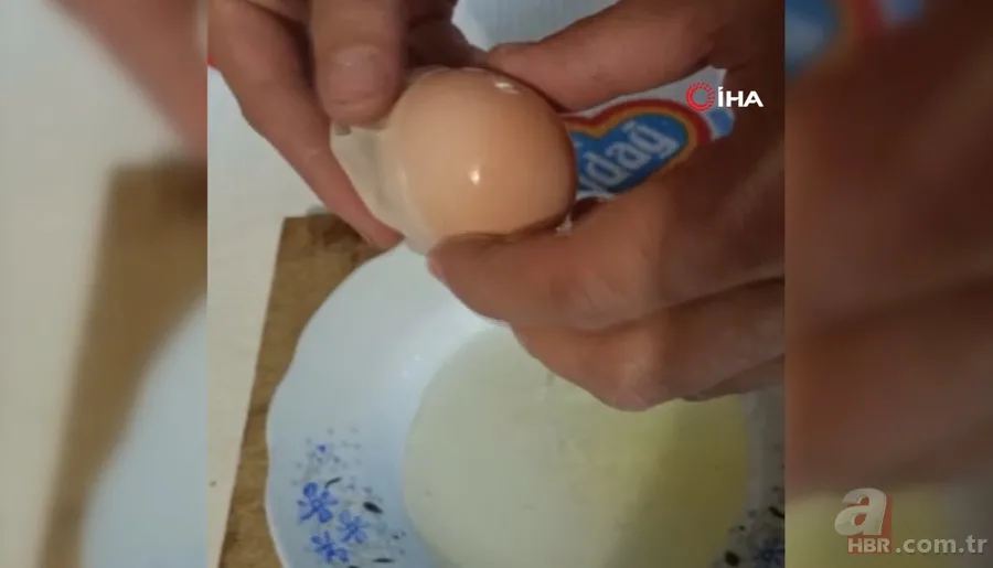 Kümese girdi başına talih kuşu kondu! Tavuğu servet yumurtladı 12