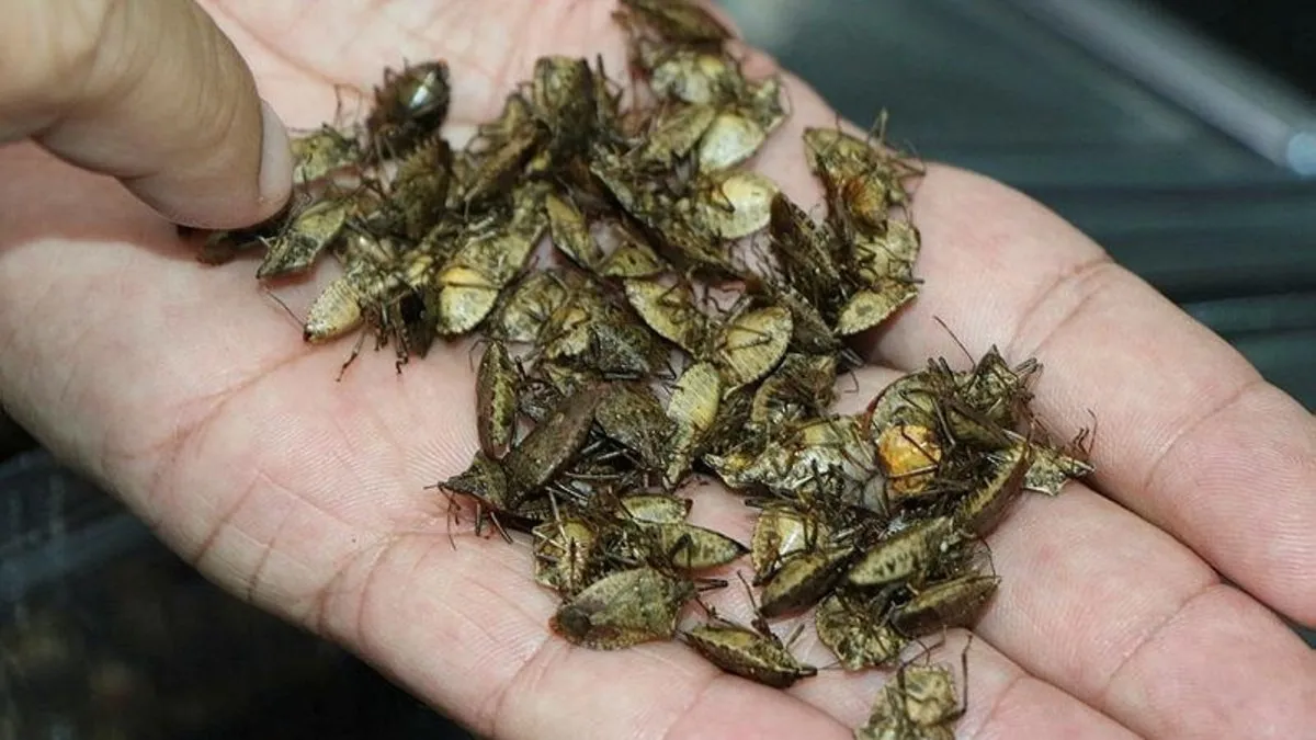 Rizda sperma bilan porno tomosha qiling Dikda kiyingan prezervativ