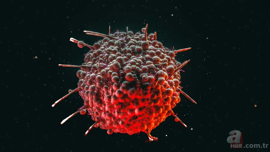 Kanser hastaları nasıl beslenmeli? Bu besinlere dikkat! Yarardan çok zarar veriyor 10