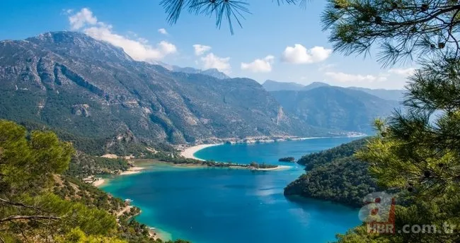 Bu şehirde yaşayanların zekası şahane seviyede çıkıyor! Türkiye'nin IQ haritası... 8